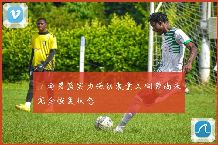 上海男篮实力强劲袁堂文韧带尚未完全恢复状态